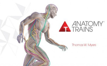 anatomy trains magyarul